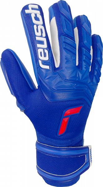 Reusch Attrakt Freegel Silver Finger Support 5170230 4010 blue front